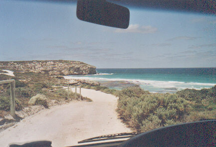 kangaroo island.jpg